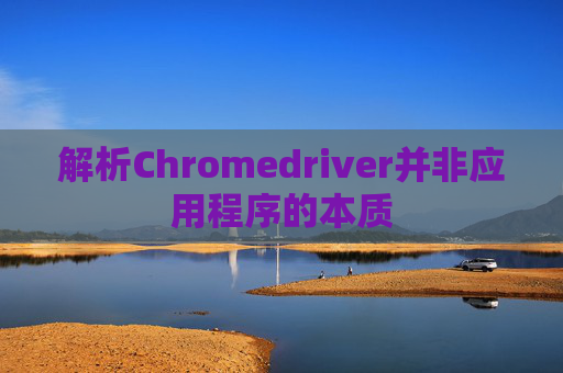 解析Chromedriver并非应用程序的本质